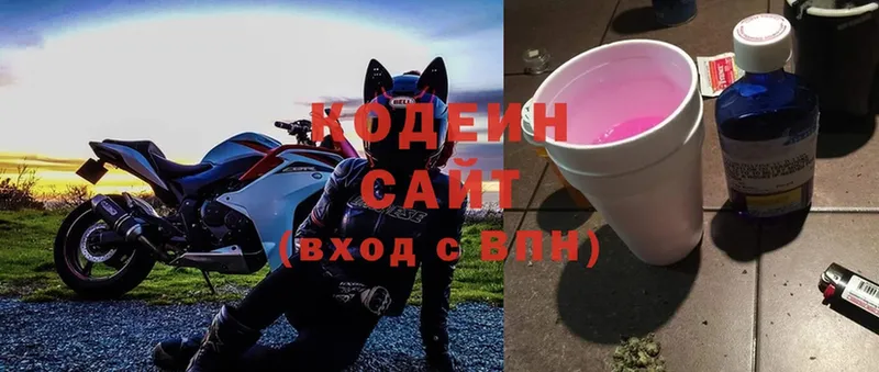 hydra маркетплейс  Новозыбков  Кодеиновый сироп Lean Purple Drank  наркота 